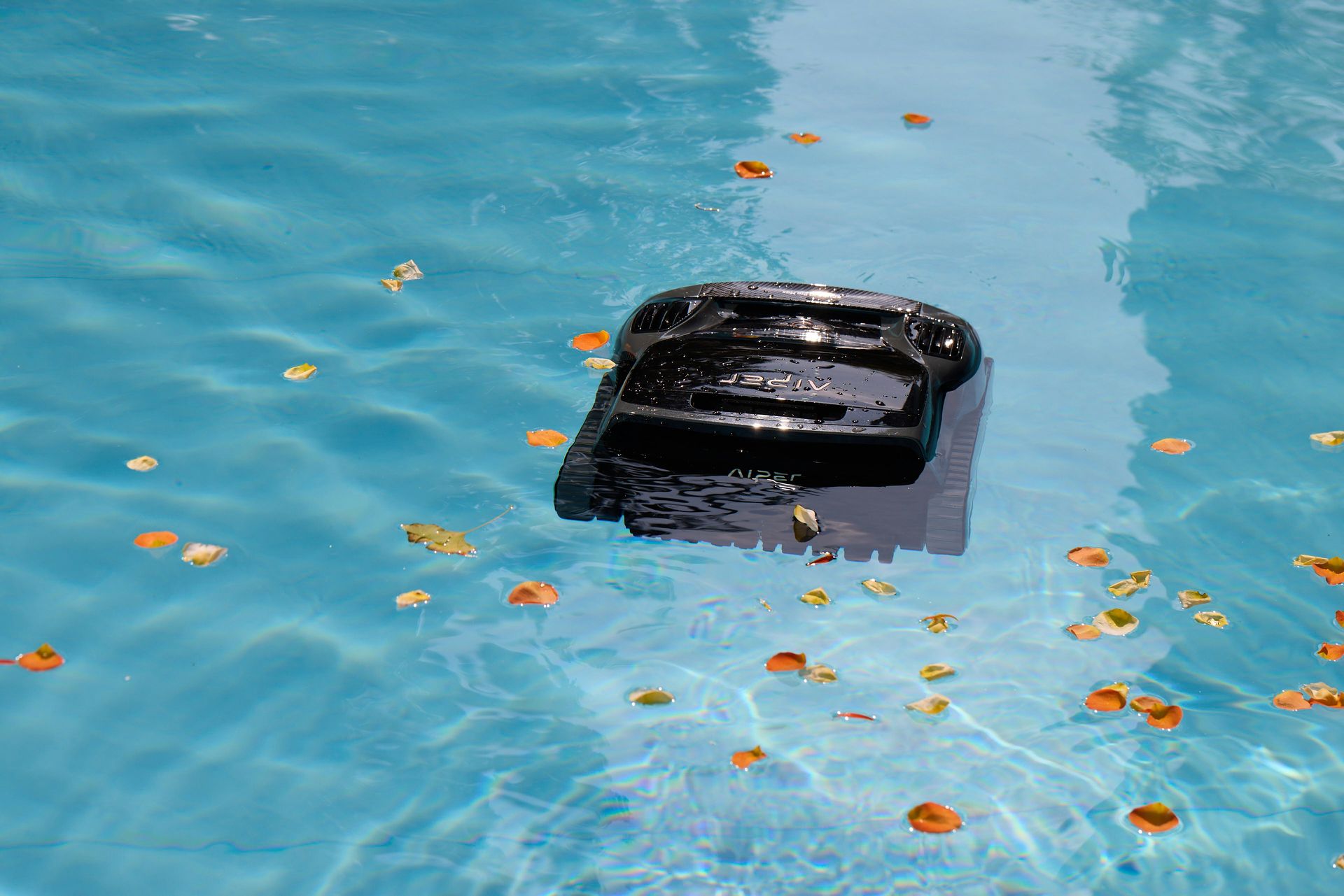 A black object floats in a blue pool with leaves.